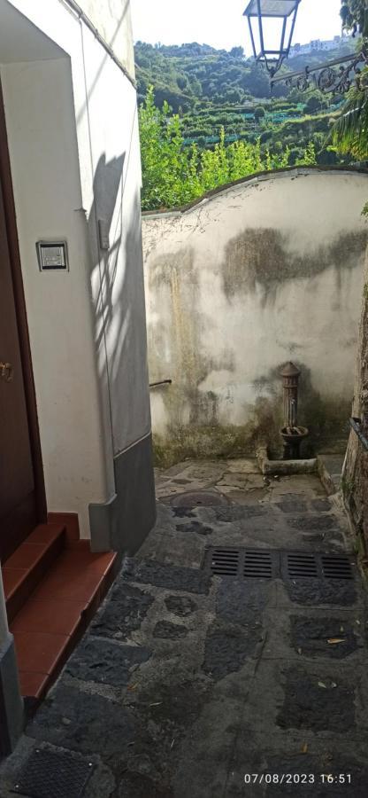 Apartment Allafontanina *